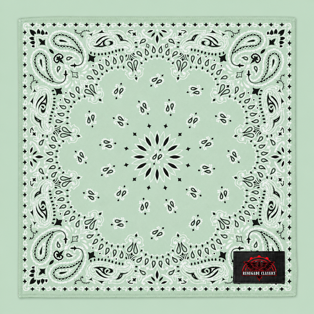 NT4414 Bandana Paisley Mint