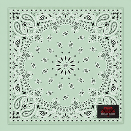 NT4414 Bandana Paisley Mint