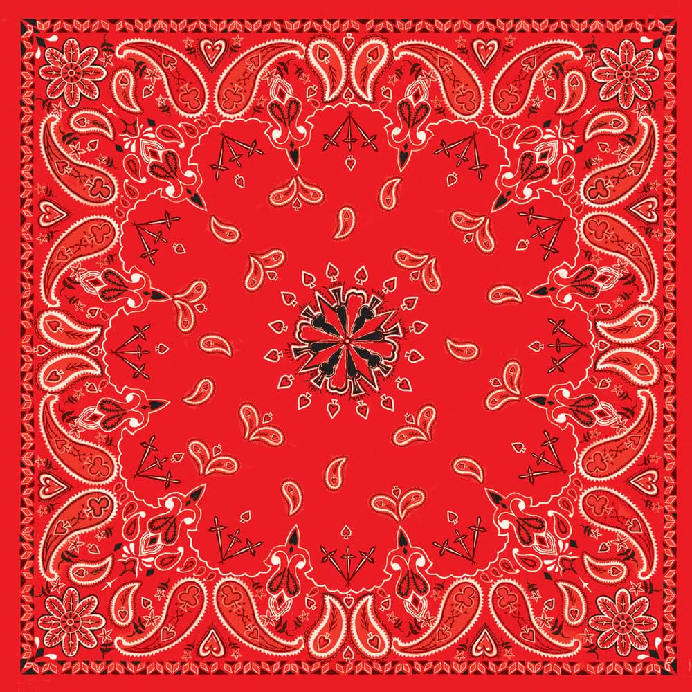 B003 Bandanna Red Paisley