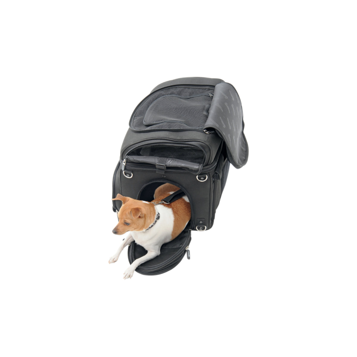 Pet Voyager