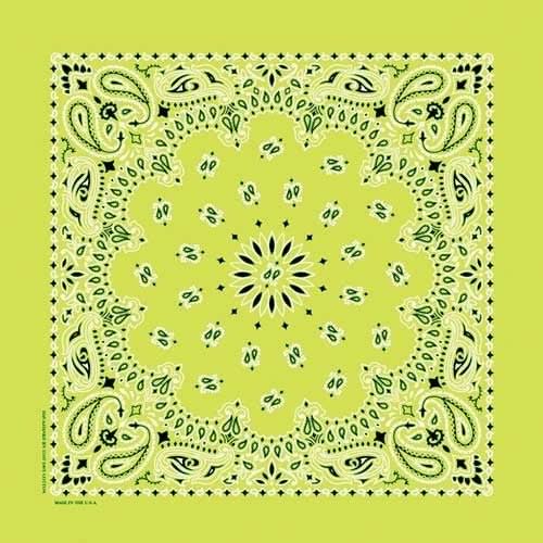 NT441 Bandana Paisley Lime