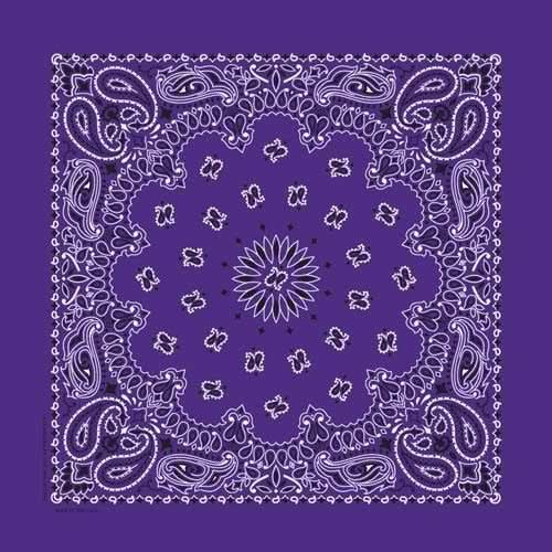 NT446 Bandana Paisley Purple