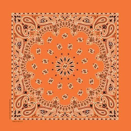 NT444 Bandana Paisley Orange