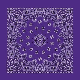 NT446 Bandana Paisley Purple
