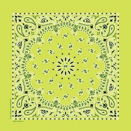 NT441 Bandana Paisley Lime