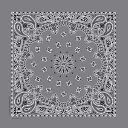 NT4411 Bandana Paisley Charcoal