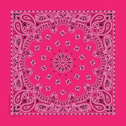NT4413 Bandana Paisley Hot Pink