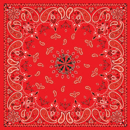 B003 Bandanna Red Paisley