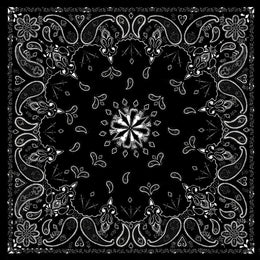 B001 Bandanna Black Paisley