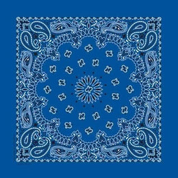 BD2501 Bandana Paisley Royal