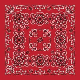 BD2507 Bandana Texas Paisley Red [27" x27"]