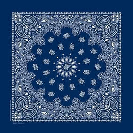 NT4402 Bandana Paisley Navy