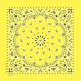 NT4403 Bandana Paisley Yellow