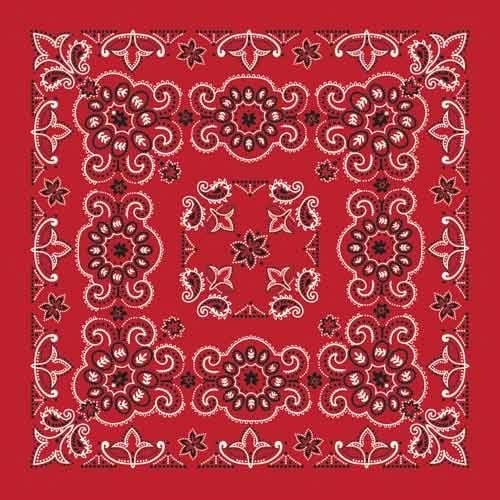 BD2507 Bandana Texas Paisley Red [27" x27"] Bandanas Carolina Mfg.