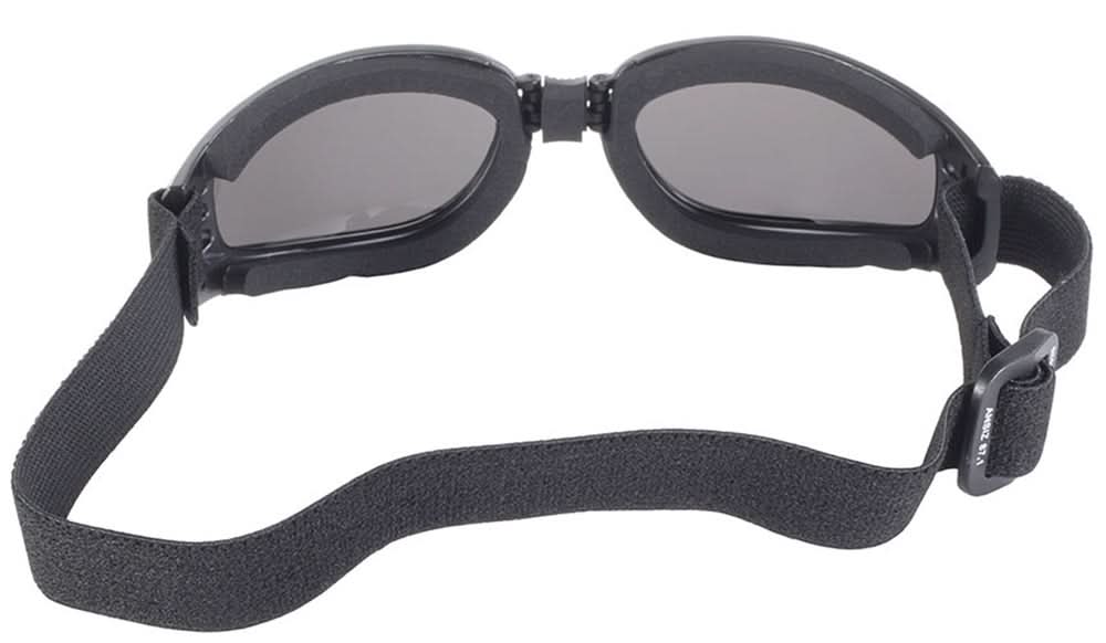 4520 Nomad Goggle Black Frame- Smoke Lens Goggles Pacific Coast Sunglasses